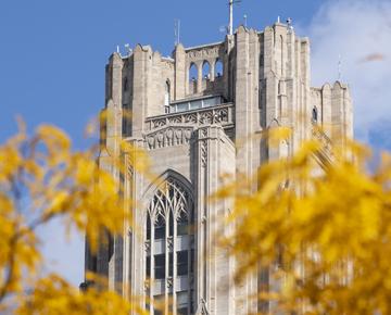 cathedral in autumn